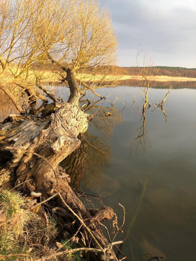 Hotel Zwischen Den Seen Waren  Zewnętrze zdjęcie